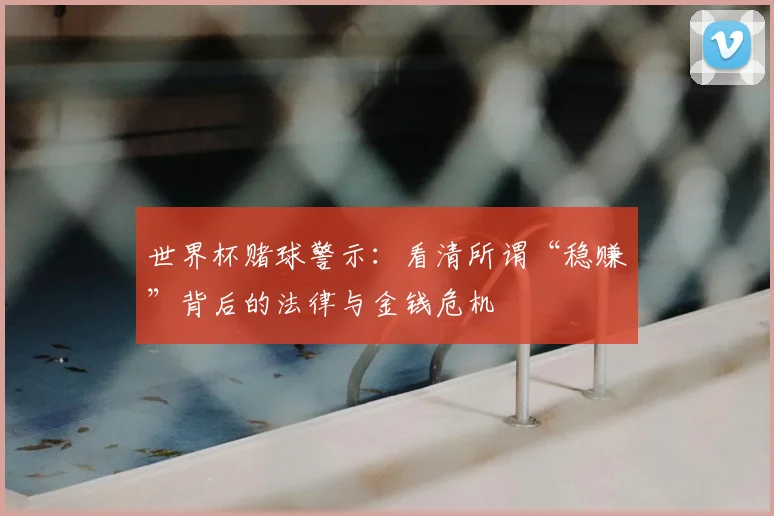 世界杯赌球警示：看清所谓“稳赚”背后的法律与金钱危机