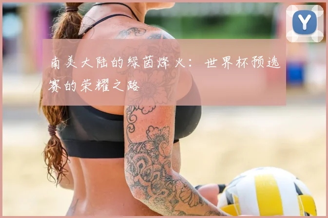 南美大陆的绿茵烽火：世界杯预选赛的荣耀之路
