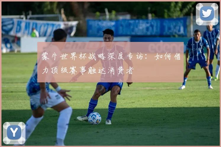 蒙牛世界杯战略深度专访：如何借力顶级赛事触达消费者