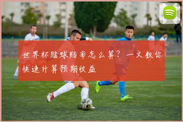 世界杯赌球赔率怎么算？一文教你快速计算预期收益
