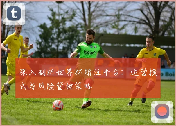 深入剖析世界杯赌注平台：运营模式与风险管控策略