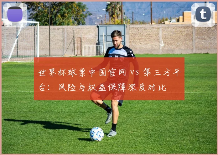 世界杯球票中国官网 vs 第三方平台：风险与权益保障深度对比