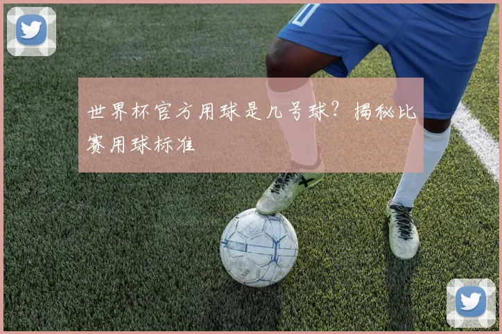 世界杯官方用球是几号球？揭秘比赛用球标准