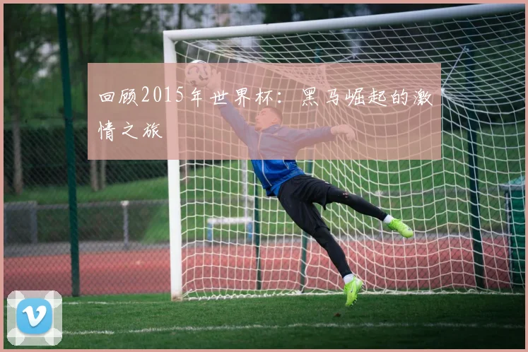 回顾2015年世界杯：黑马崛起的激情之旅